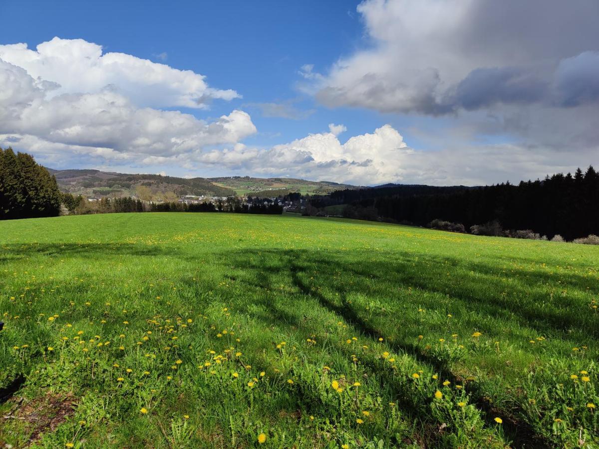 Ferienhaus Am Sauerbrunnen Daun Esterno foto